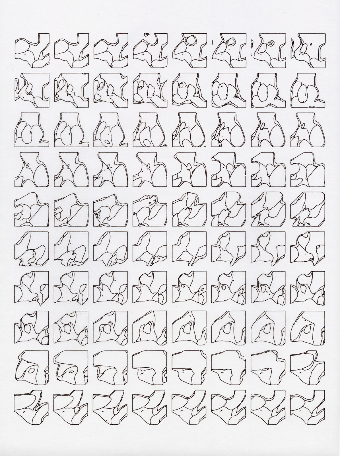 Daniel Savage dissection pen plotter print, anatomical line drawing in black and white, experimental illustration artwork